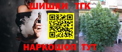 дмт Дубна