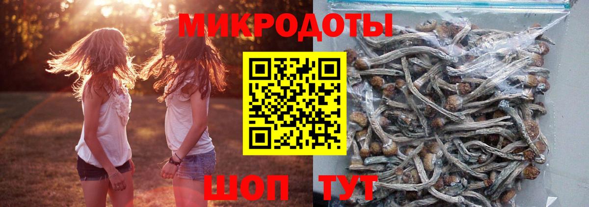 Москва  Галлюциногенные грибы GOLDEN TEACHER  как найти   Вход с VPN  Псилоцибиновые грибы Psilocybine cubensis 